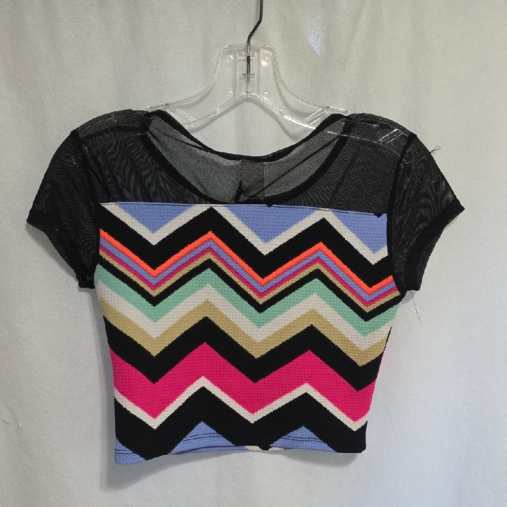 Discreet Multicolor Chevron Mesh Crop Top - Picture 5 of 6